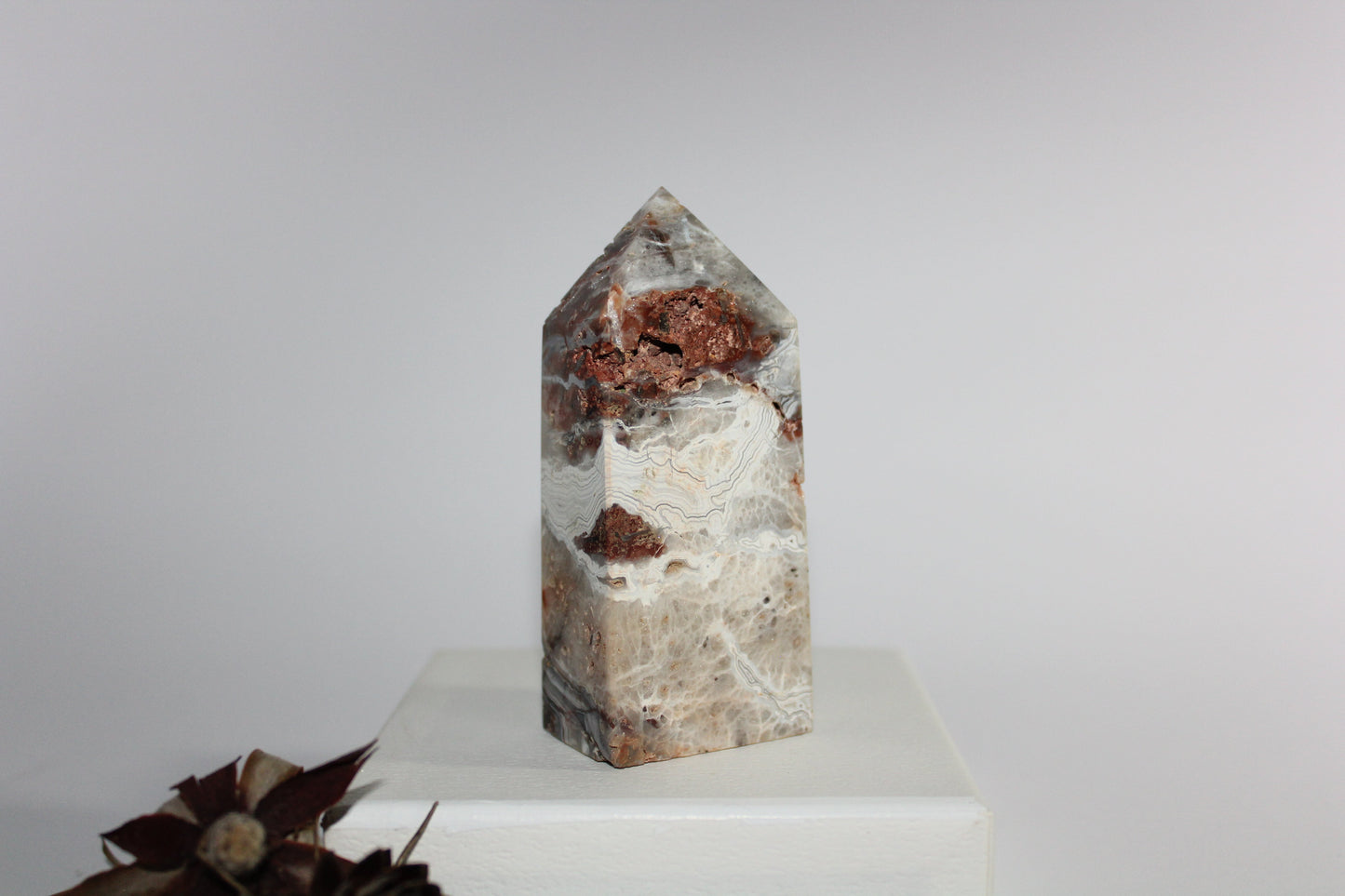 Generator - Mexican Agate - med