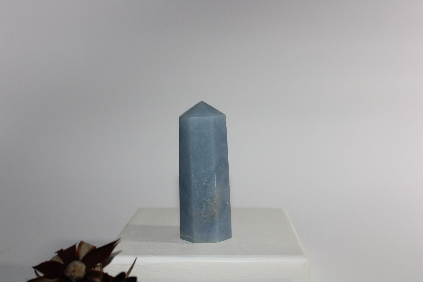 Generator - Angelite -med