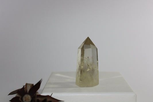 Generator - Citrine - sml