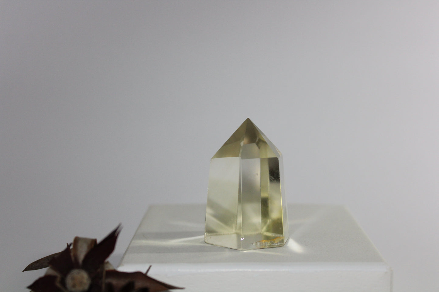 Generator - Citrine - sml