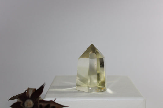 Generator - Citrine - sml