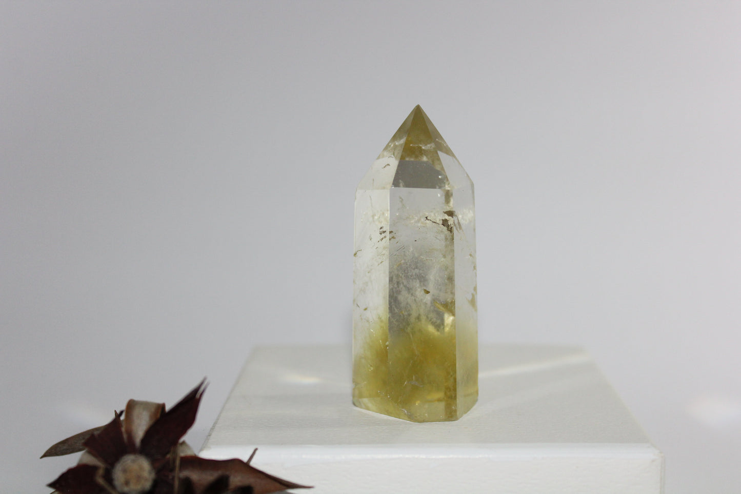 Generator - Citrine - med
