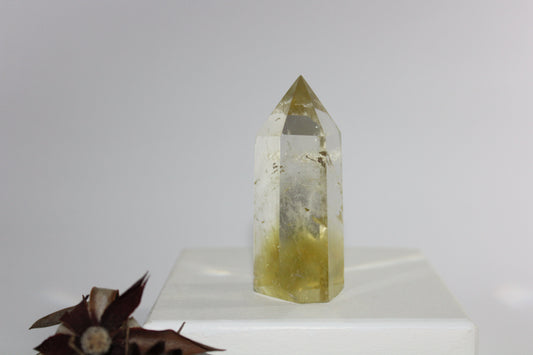 Generator - Citrine - med