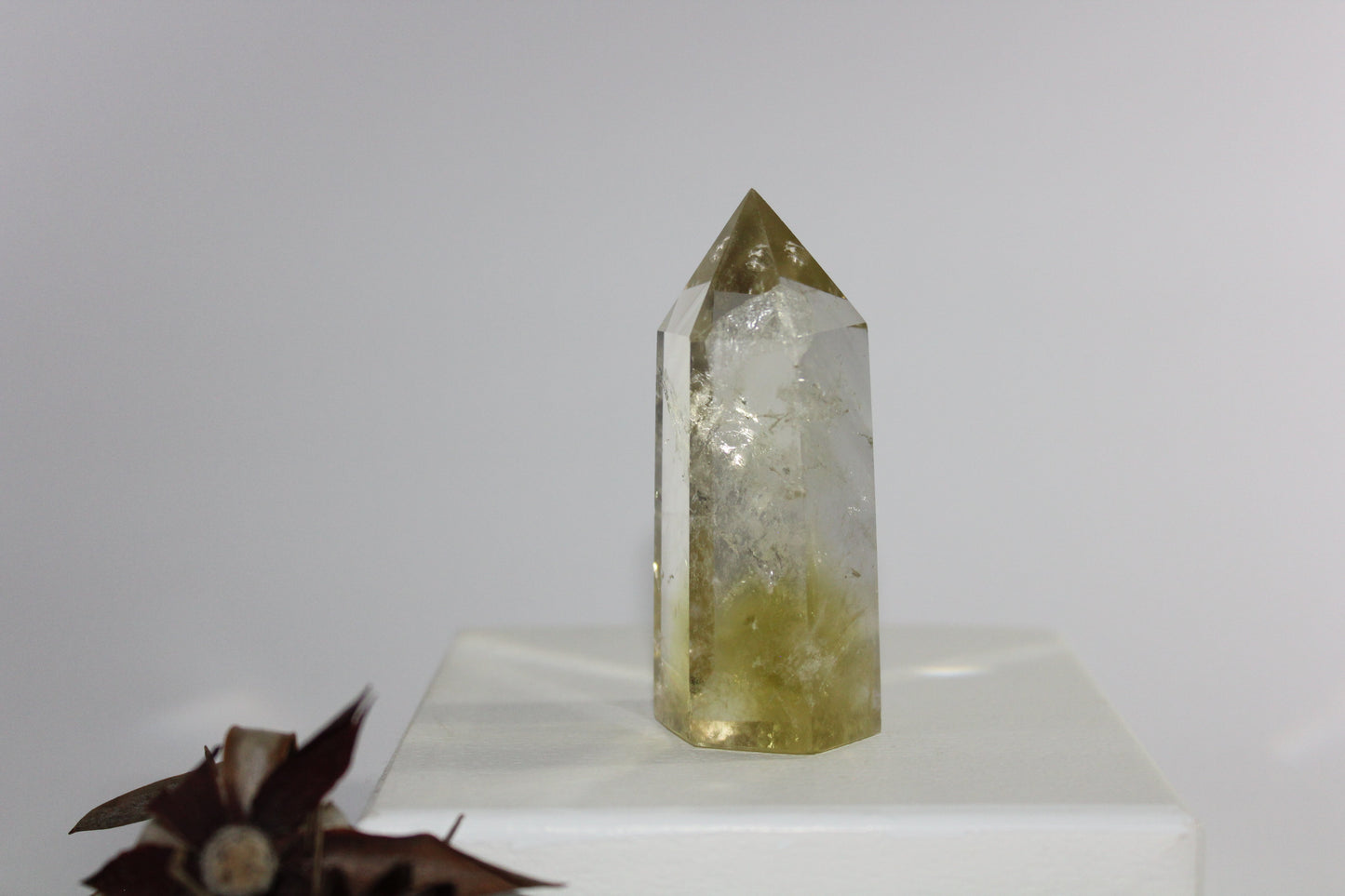 Generator - Citrine - med