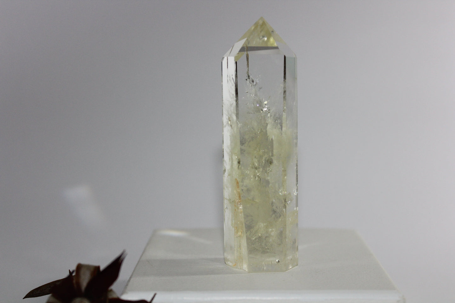 Generator - Citrine - med
