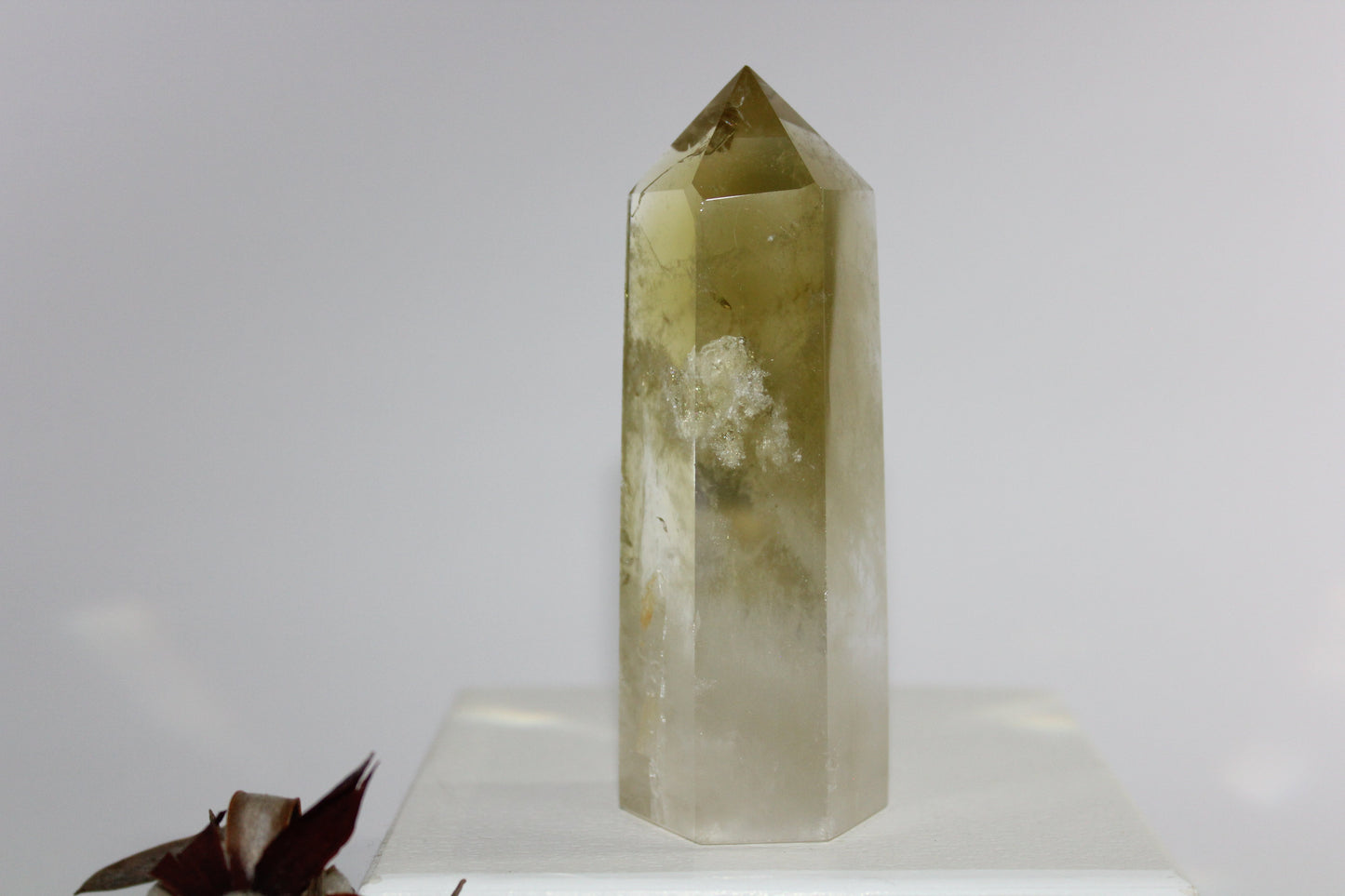 Generator - Citrine - med