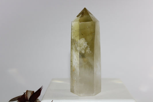 Generator - Citrine - med