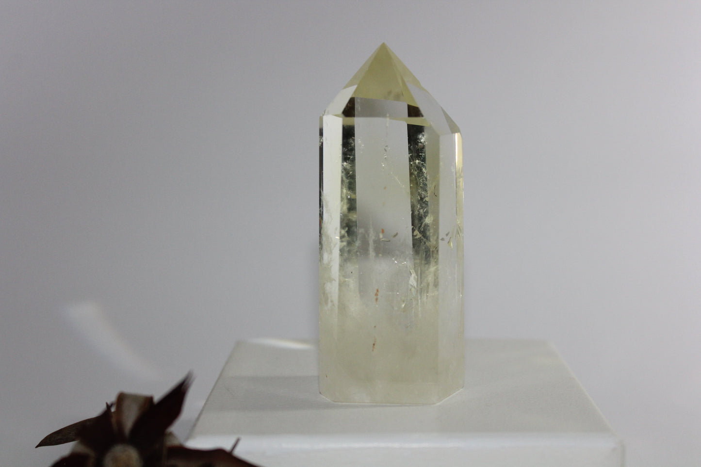 Generator - Citrine - med