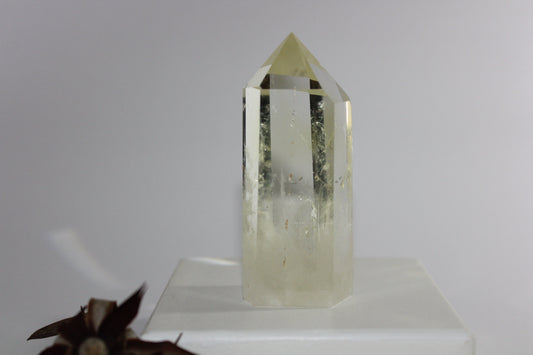 Generator - Citrine - med