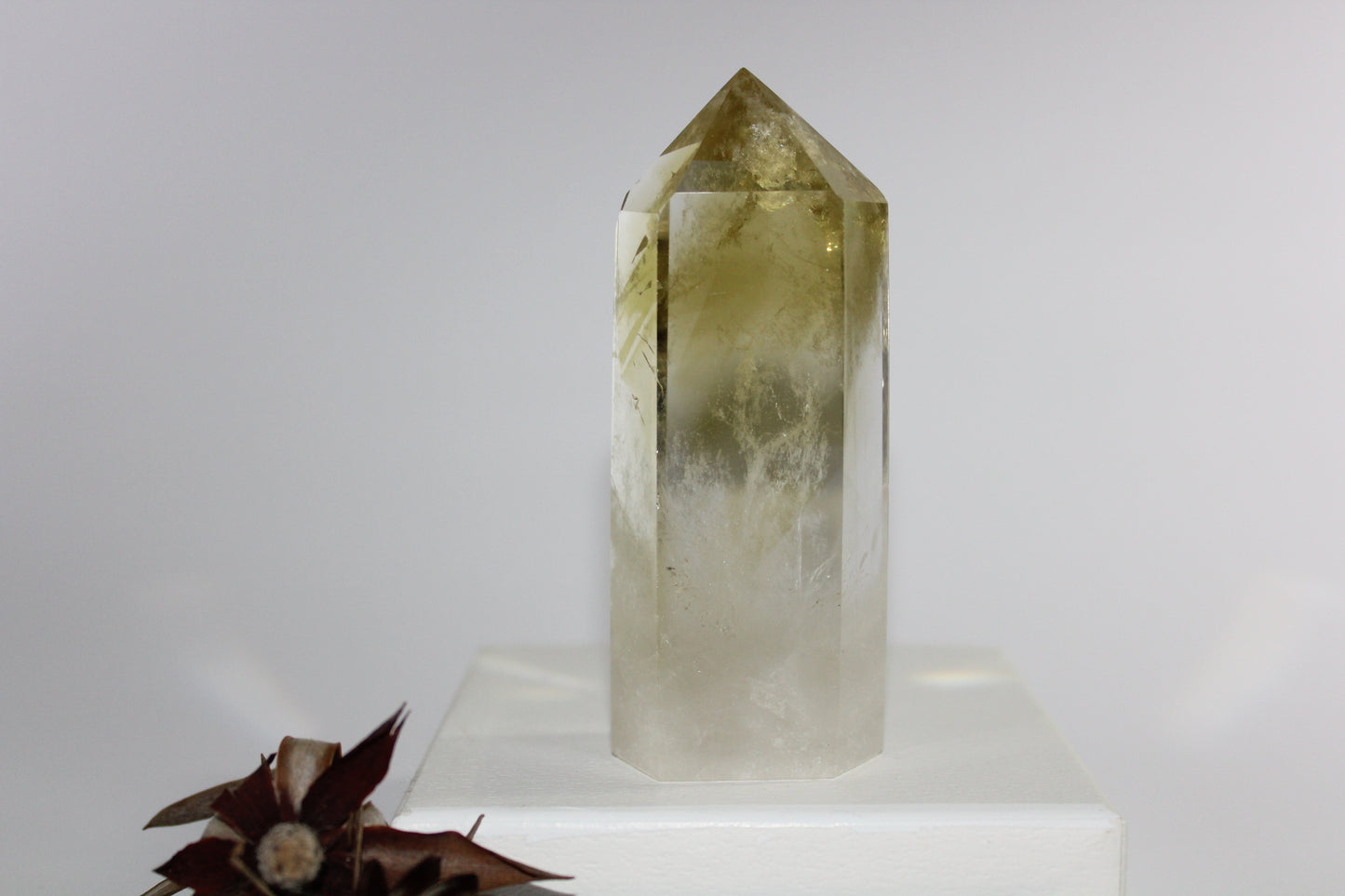 Generator - Citrine - med/lge