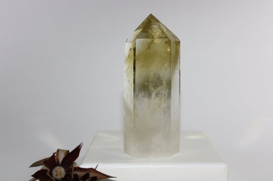 Generator - Citrine - med/lge