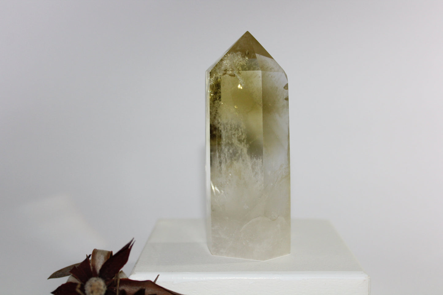 Generator - Citrine - med/lge