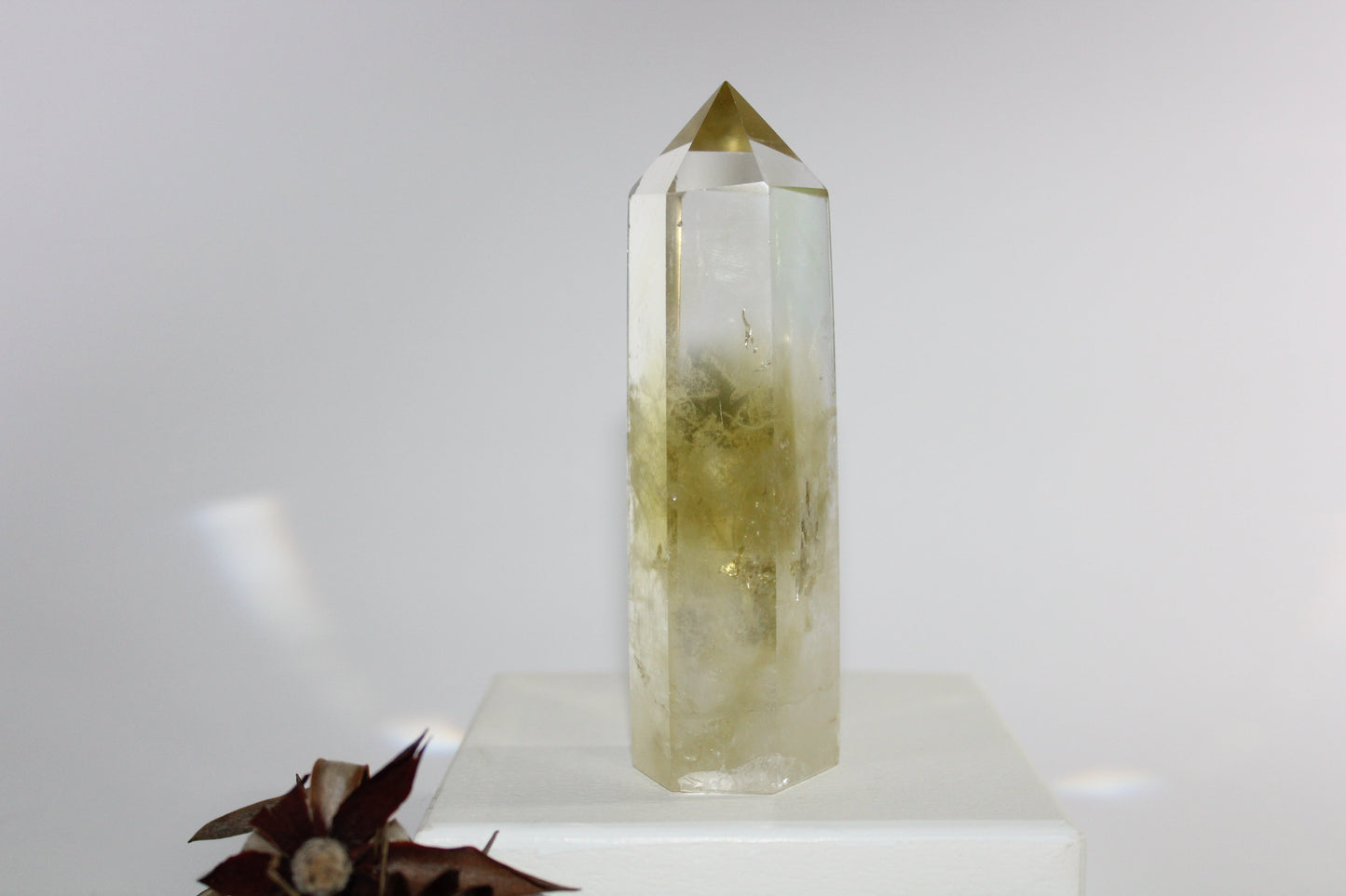 Generator - Citrine - lge