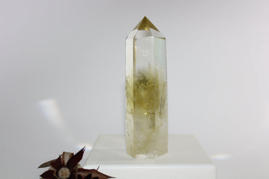 Generator - Citrine - lge