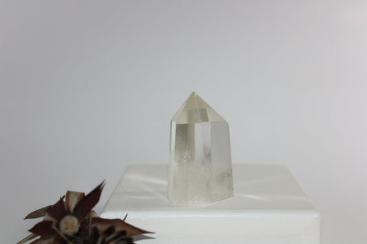 Generator - Clear Quartz - sml/med