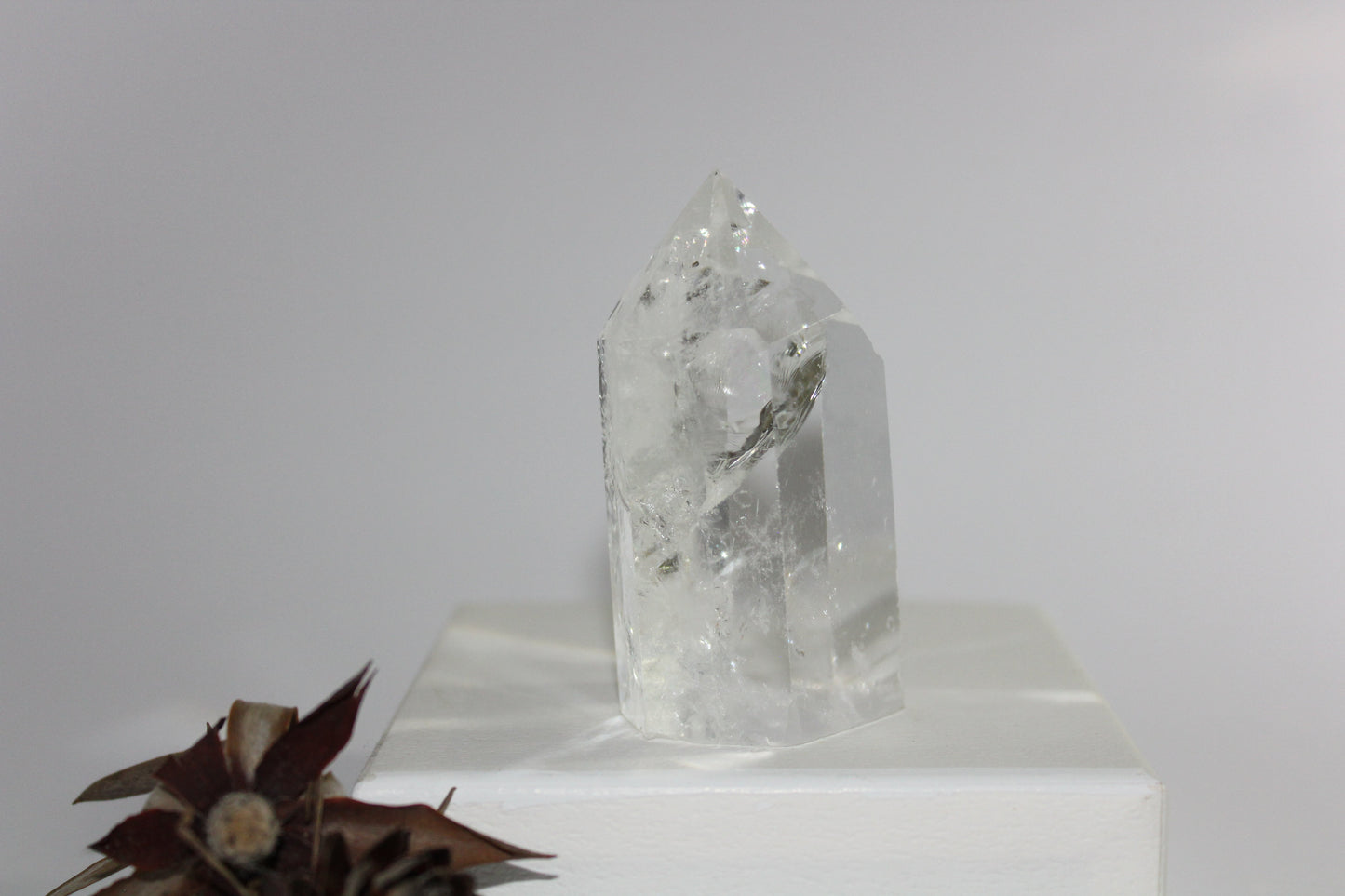 Generator - Clear Quartz - med/lge