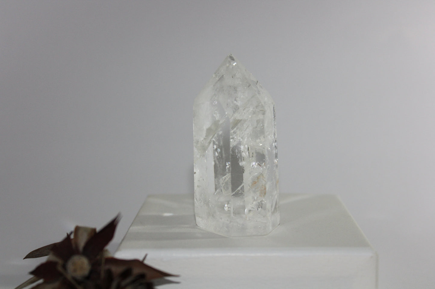 Generator - Clear Quartz - med/lge