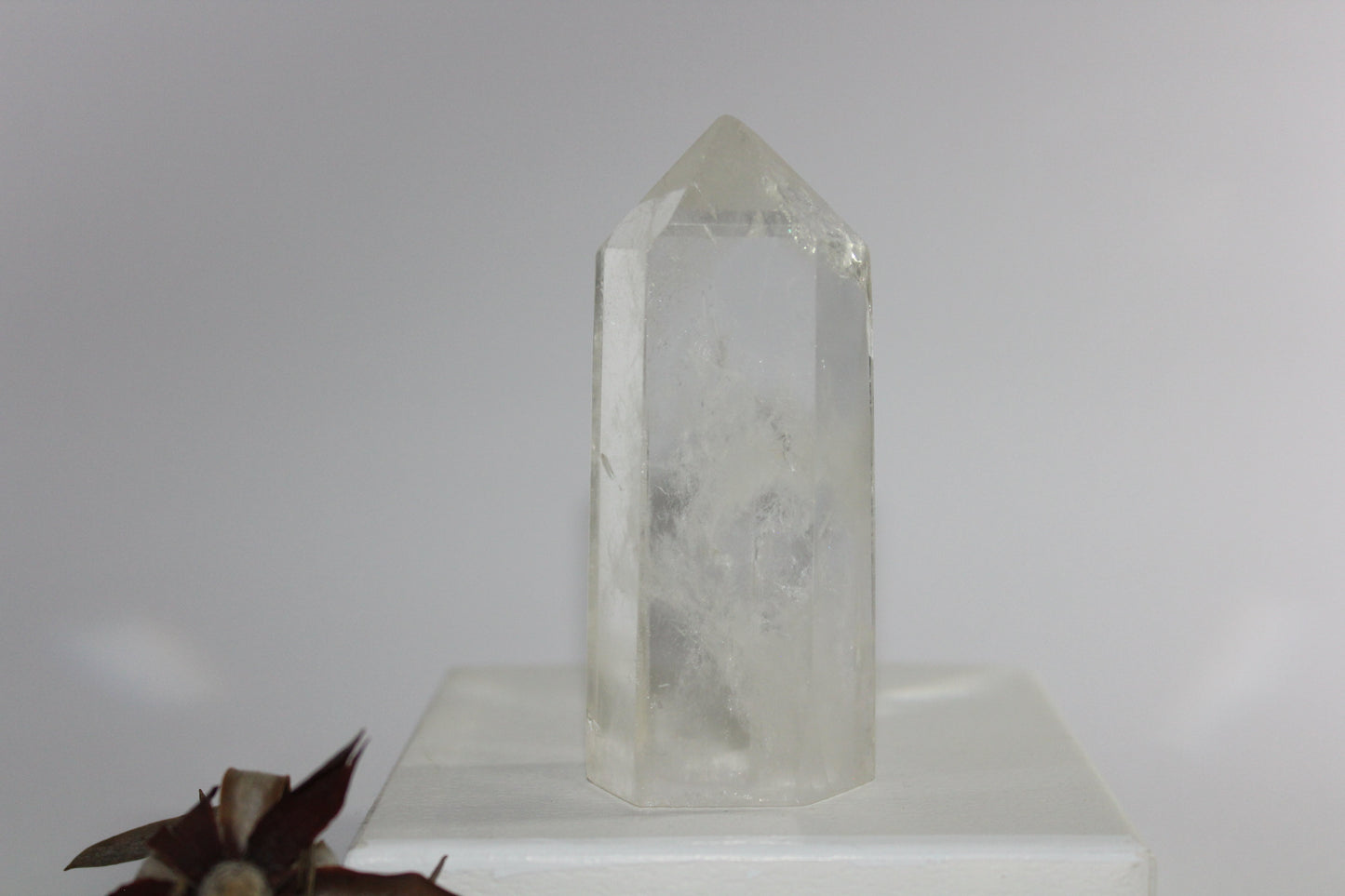 Generator - Clear Quartz - med/lge