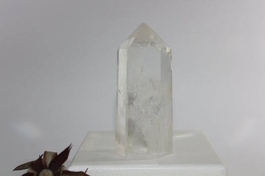 Generator - Clear Quartz - med/lge