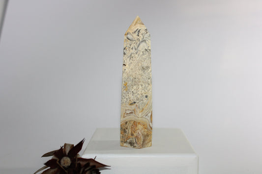 Generator - Crazy Lace - med/lge