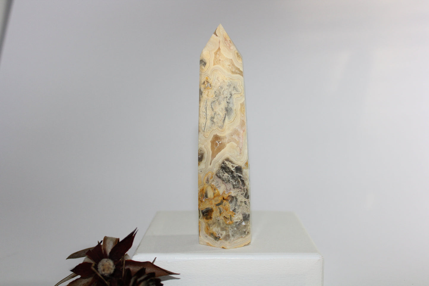 Generator - Crazy Lace - med/lge