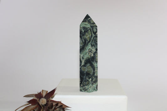 Generator - Kambaba Jasper - med