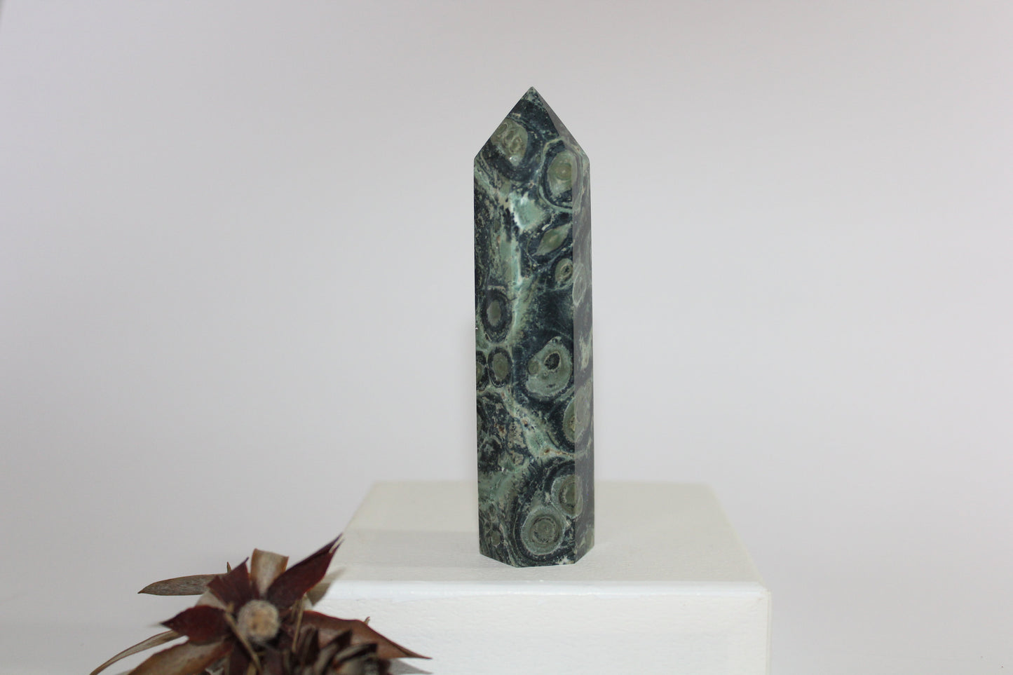 Generator - Kambaba Jasper - med