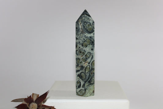 Generator - Kambaba Jasper - med