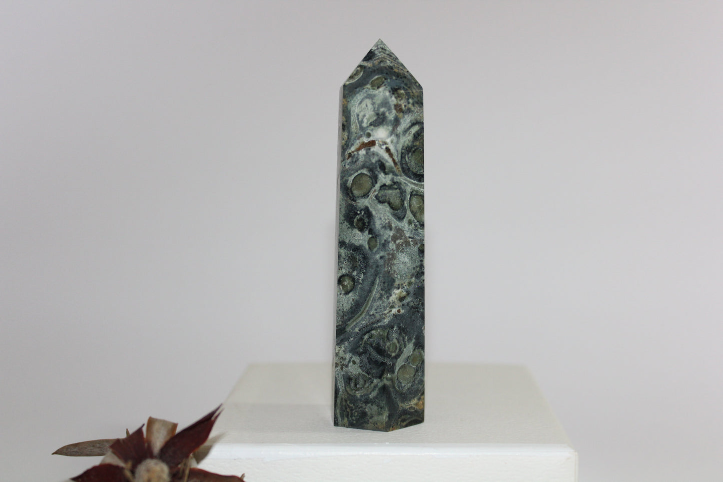 Generator - Kambaba Jasper - med