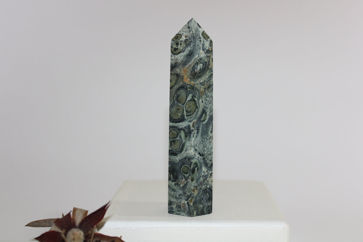 Generator - Kambaba Jasper - med