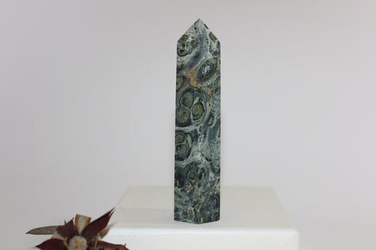 Generator - Kambaba Jasper - med