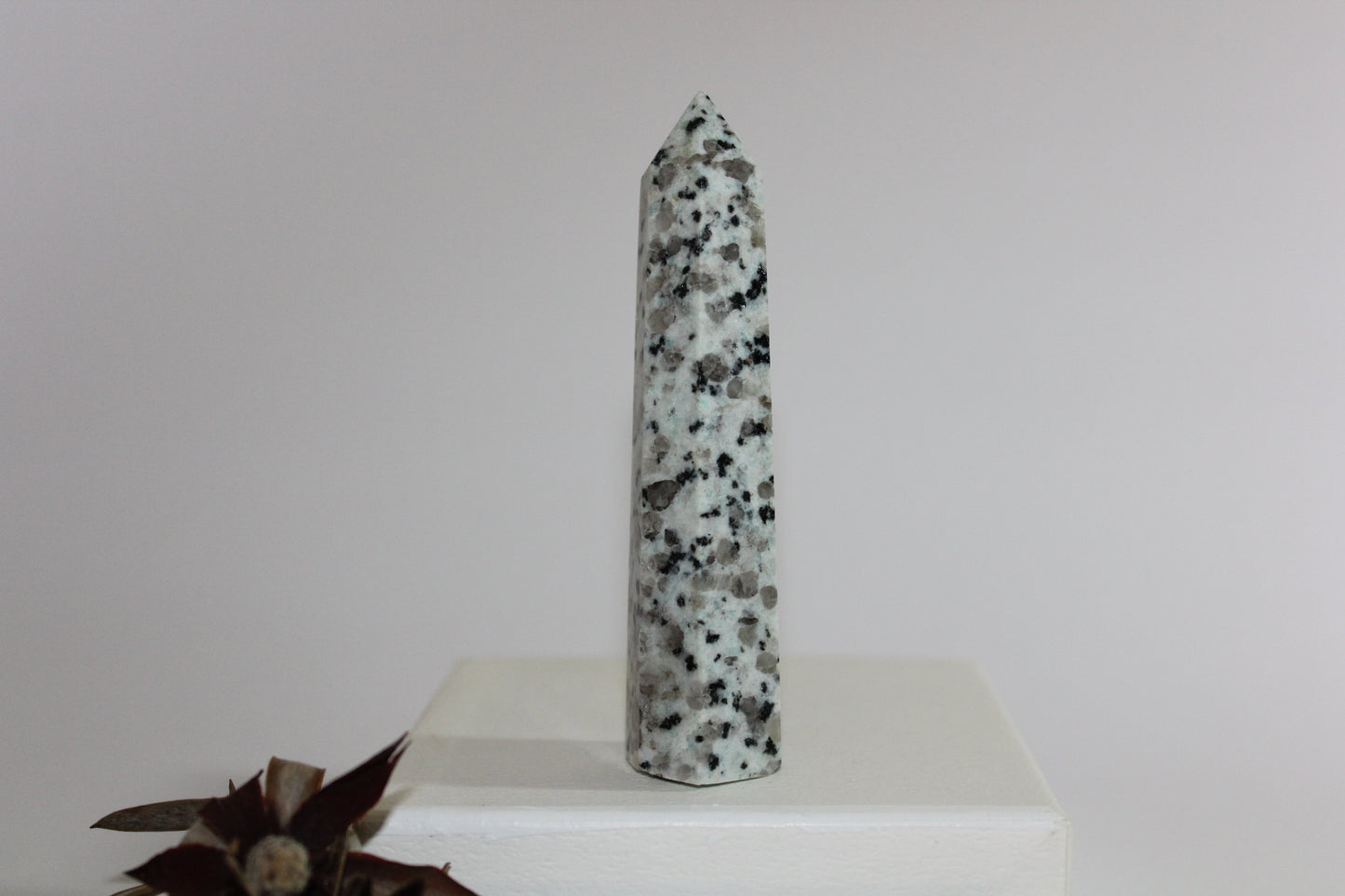 Generator - Kiwi Stone - med