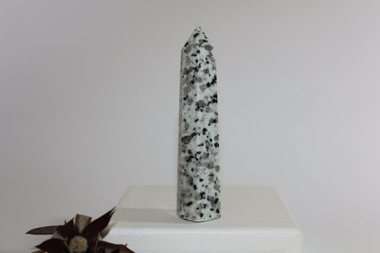 Generator - Kiwi Stone - med