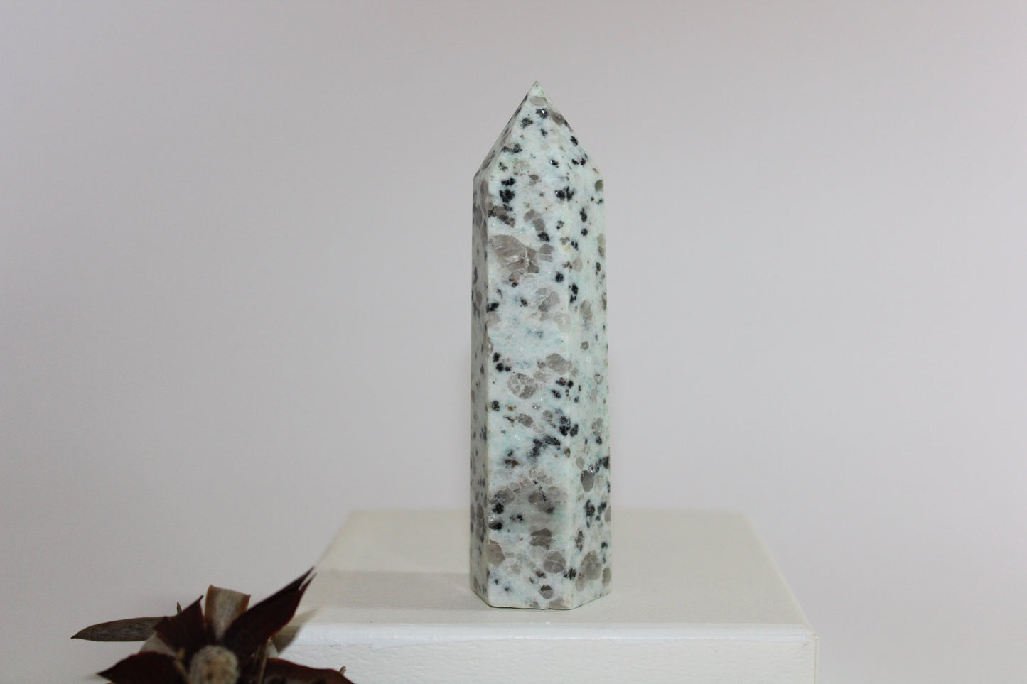 Generator - Kiwi Stone - med/lge