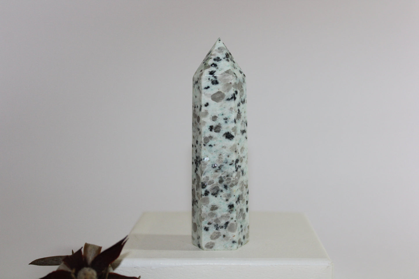 Generator - Kiwi Stone - med/lge