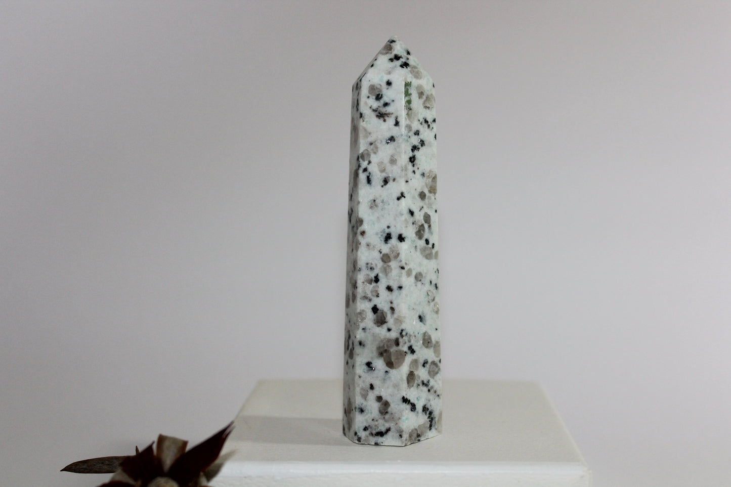 Generator - Kiwi Stone - med/lge