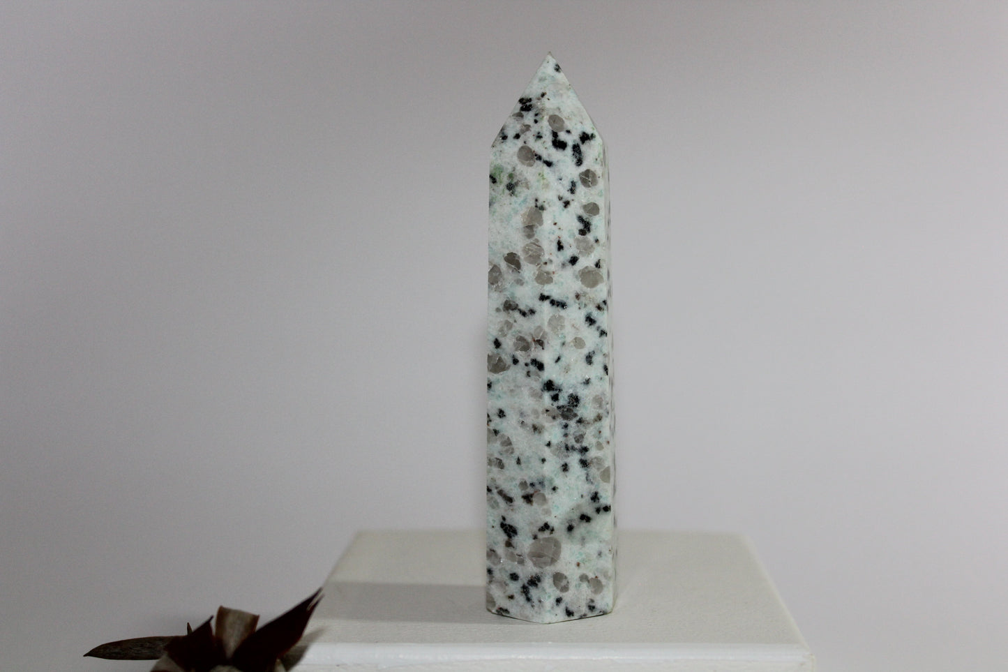 Generator - Kiwi Stone - med/lge