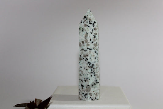 Generator - Kiwi Stone - med/lge