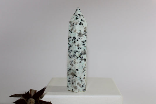 Generator - Kiwi Stone - med/lge