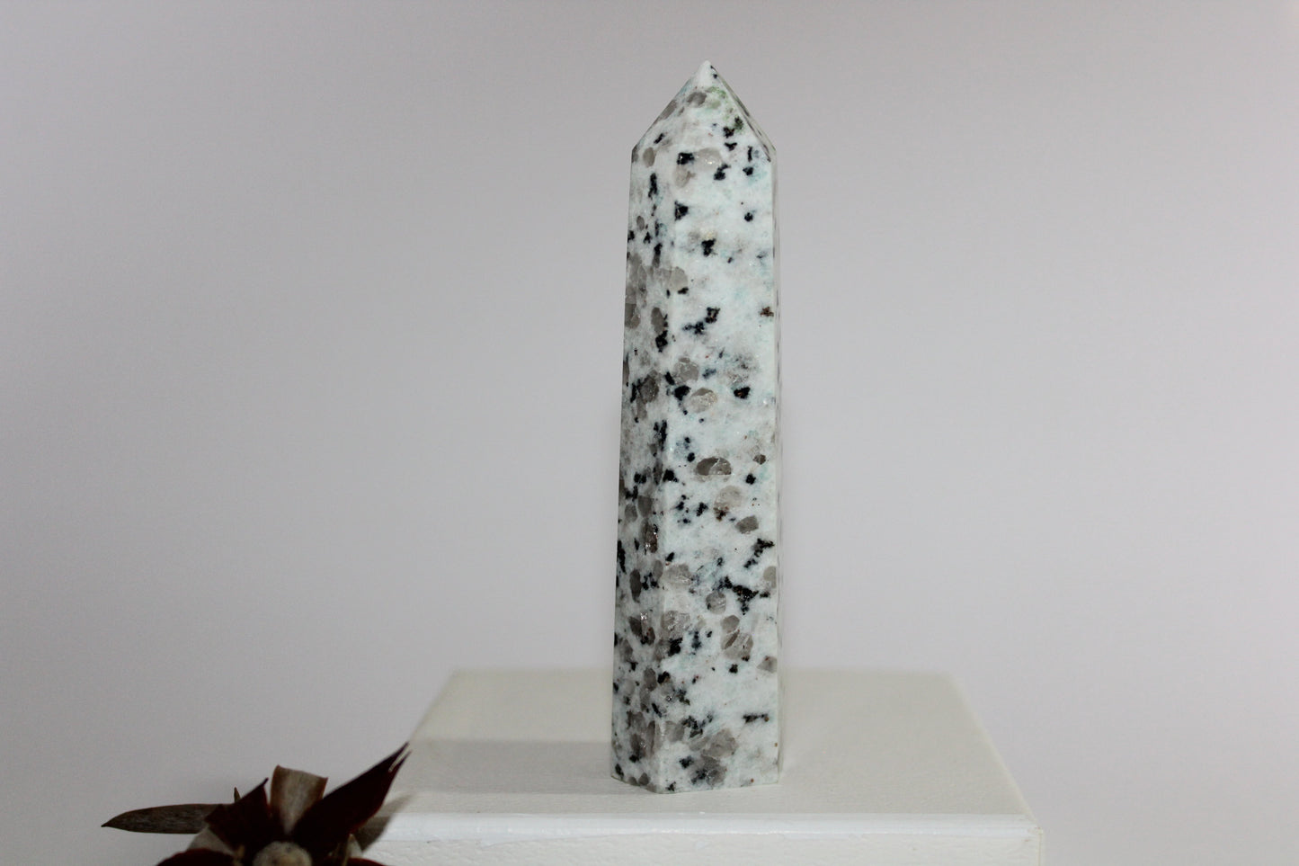 Generator - Kiwi Stone - med/lge