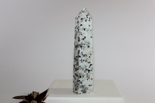 Generator - Kiwi Stone - med/lge