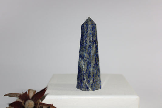 Generator - Lapis Lazuli - med/lge