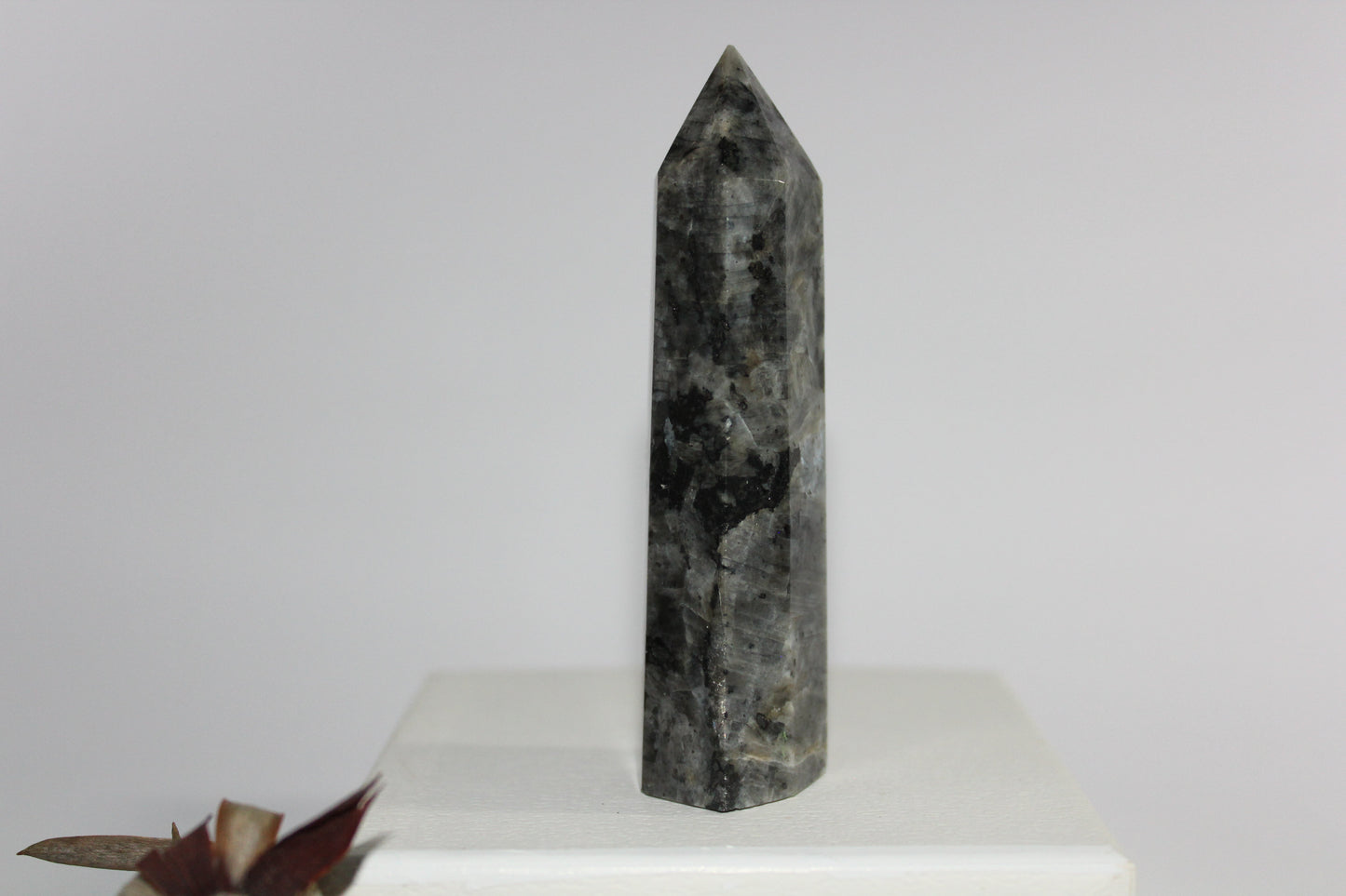 Generator - Larvikite (Black Moonstone) - med