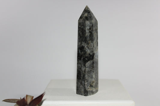 Generator - Larvikite (Black Moonstone) - med