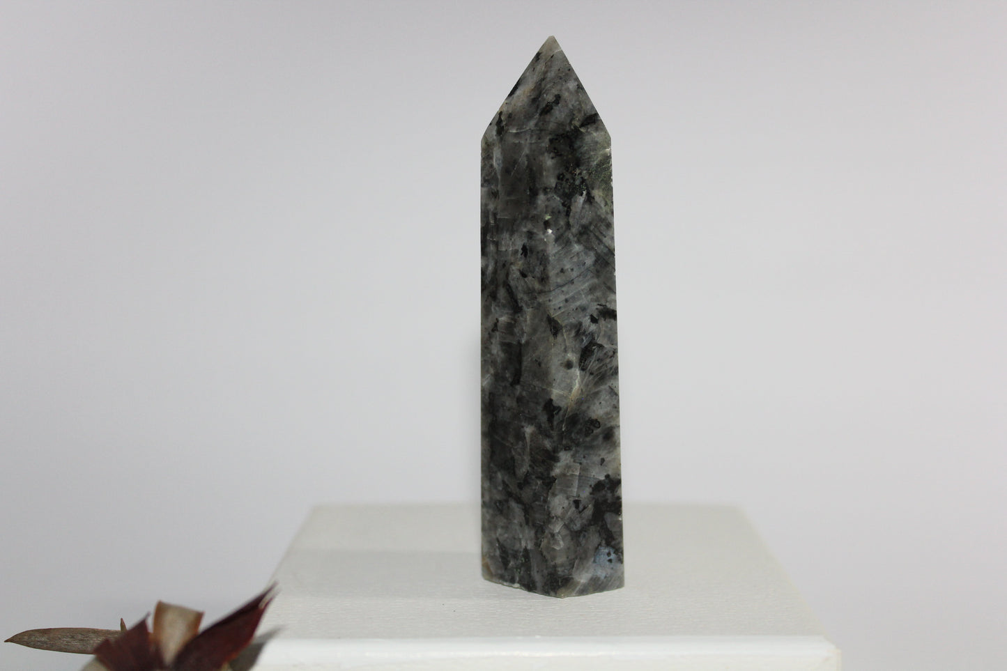 Generator - Larvikite (Black Moonstone) - med