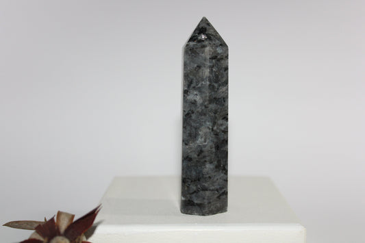 Generator - Larvikite (Black Moonstone) - med