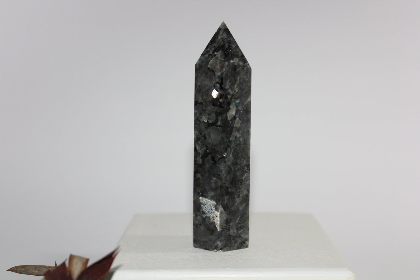 Generator - Larvikite (Black Moonstone) - med