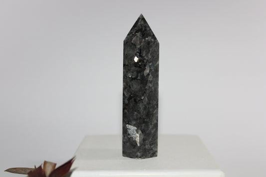 Generator - Larvikite (Black Moonstone) - med