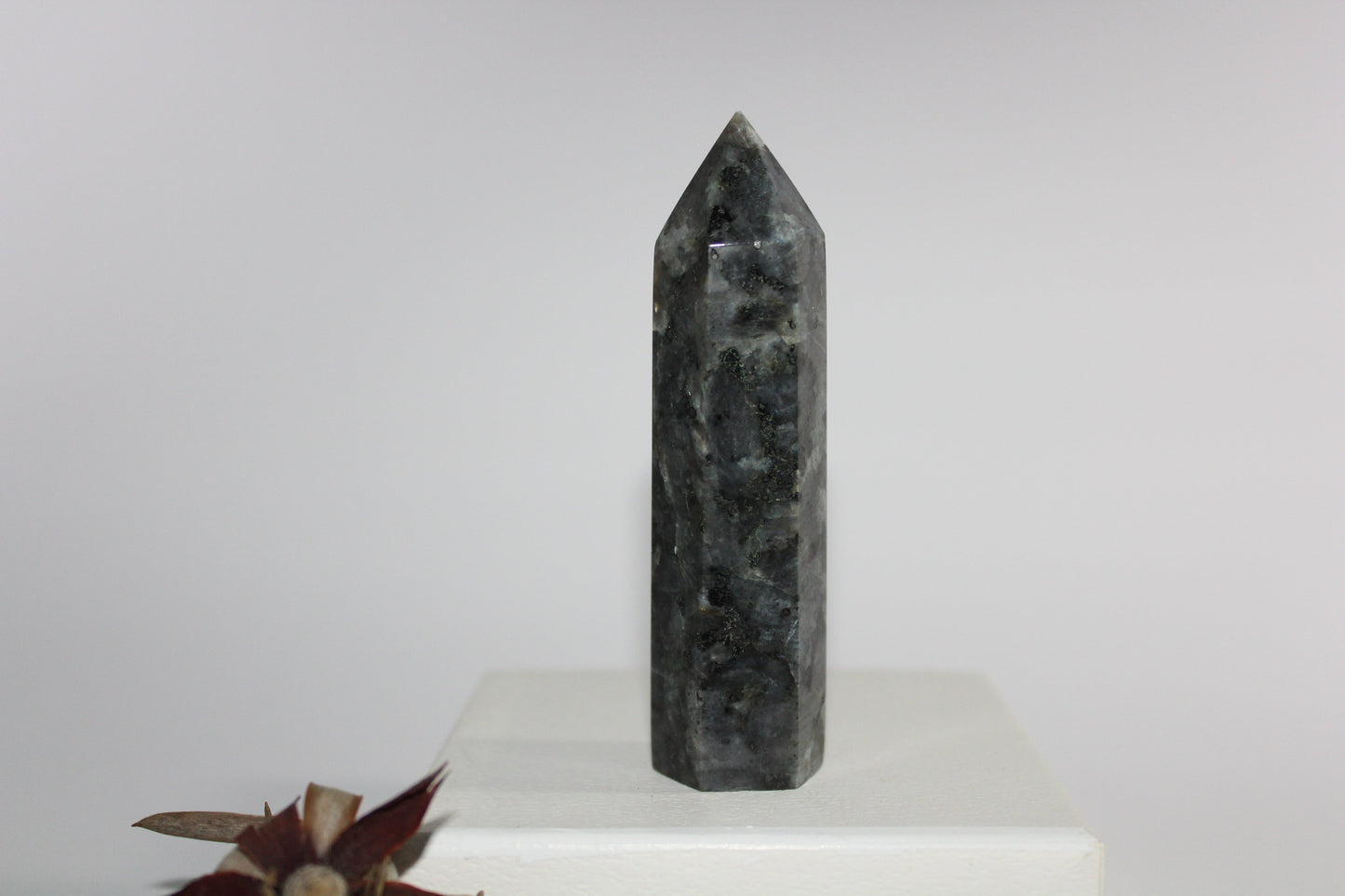 Generator - Larvikite (Black Moonstone) - med