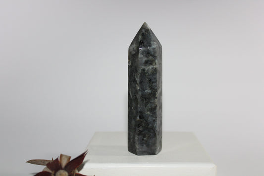 Generator - Larvikite (Black Moonstone) - med
